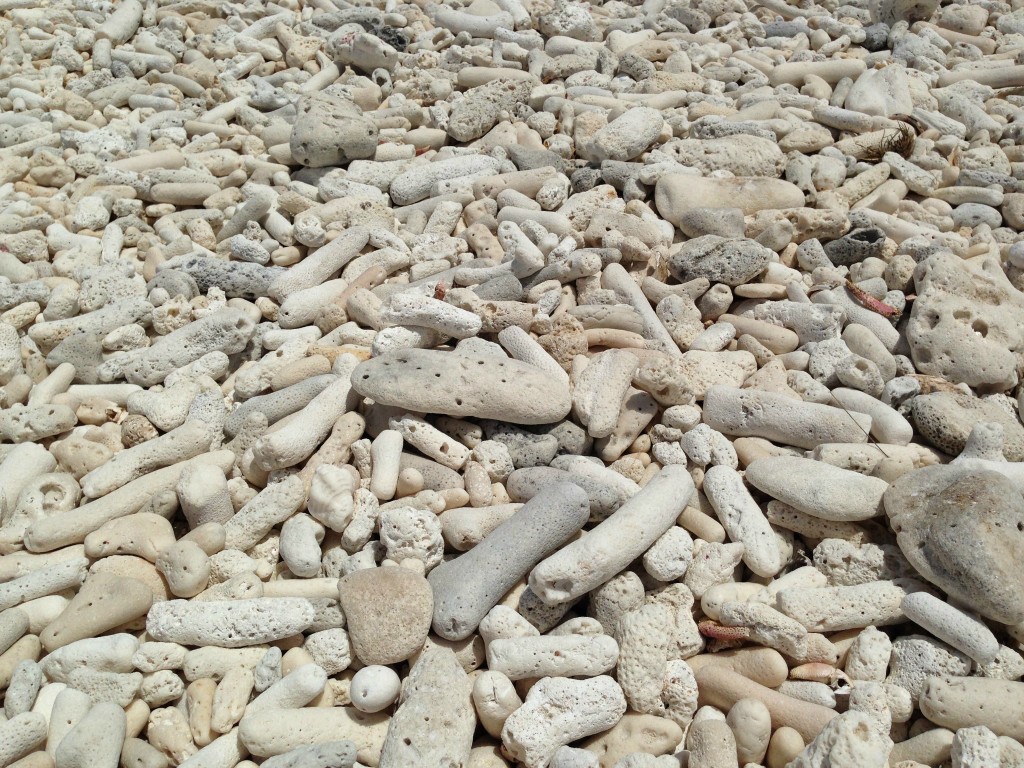 Those aren't rocks on the beach. Dead coral fragments are a common sight on many island shores.
