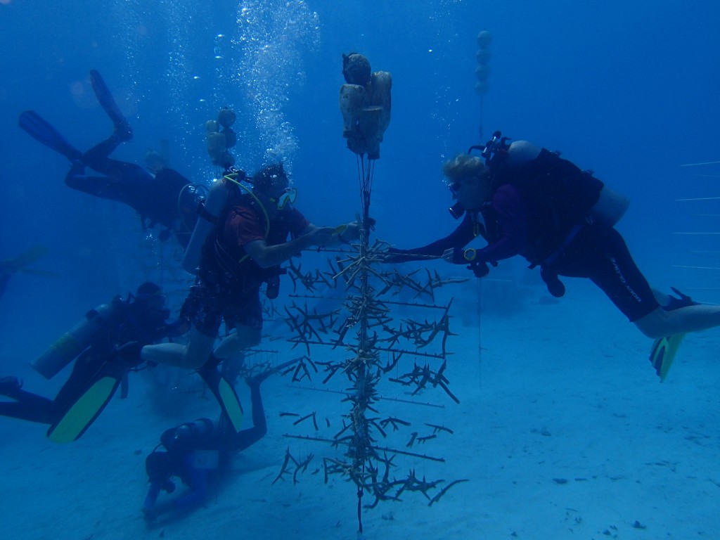 Coral Restoration divers work on one of the nursery trees in Bonaire.