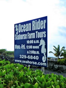 Plan ahead for your tour at Ocean Rider Seahorse Farm.