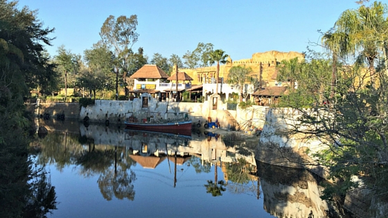 Sunrise at Disney's Animal Kingdom