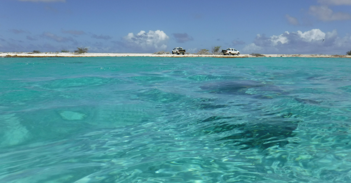Snorkeling and diving on Bonaire.