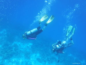 My scuba diver friends explore the reef below me