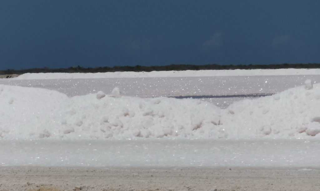 Salt blows to the edge of Bonaire's salt ponds. It looks just like a pile of snow!