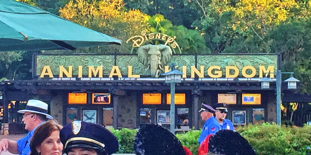 Disney World Animal Kingdom Tour