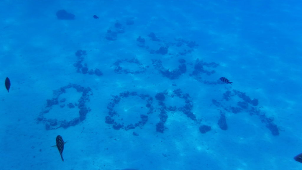 Coral spelling out I Love Bora