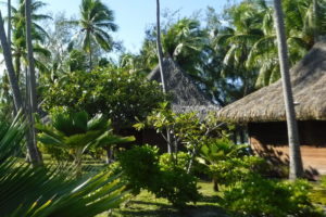 Lush landscaping at Kia Ora resort.