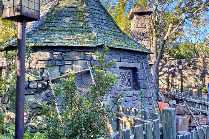 The Hagrid's Motorbike Adventure queue goes right past Hagrid's hut