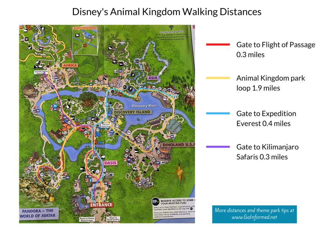 Disney World Walking Distances - Animal Kingdom