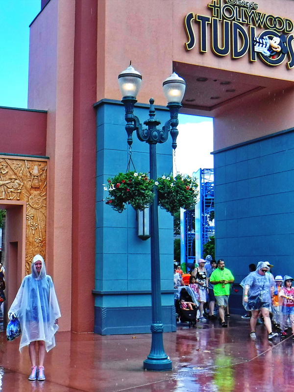 Rain is a very common occurrence at Disney World in the summer. That's why I always bring a poncho.