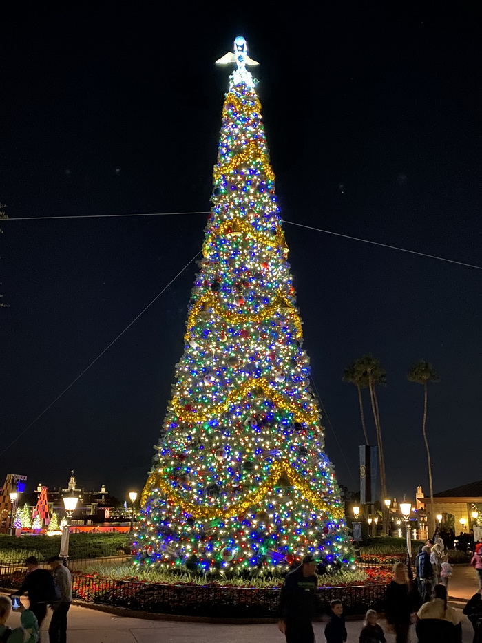 Epcot Christmas tree after dark