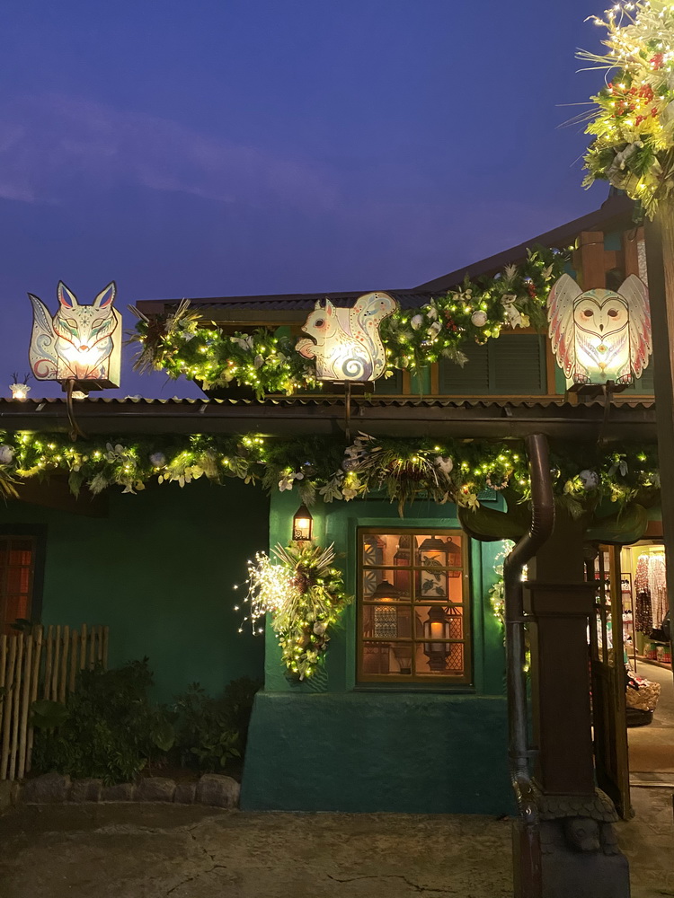Gorgeous holiday lanterns in Disney's Animal Kingdom park