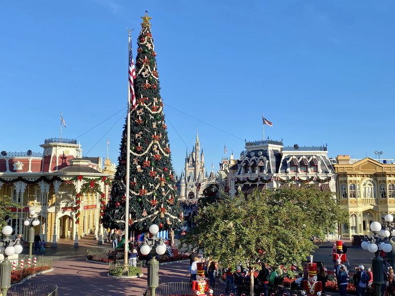 The Magic Kingdom Christmas tree