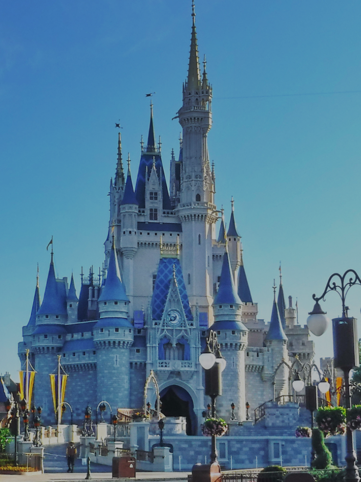 Disney World Quick Guide