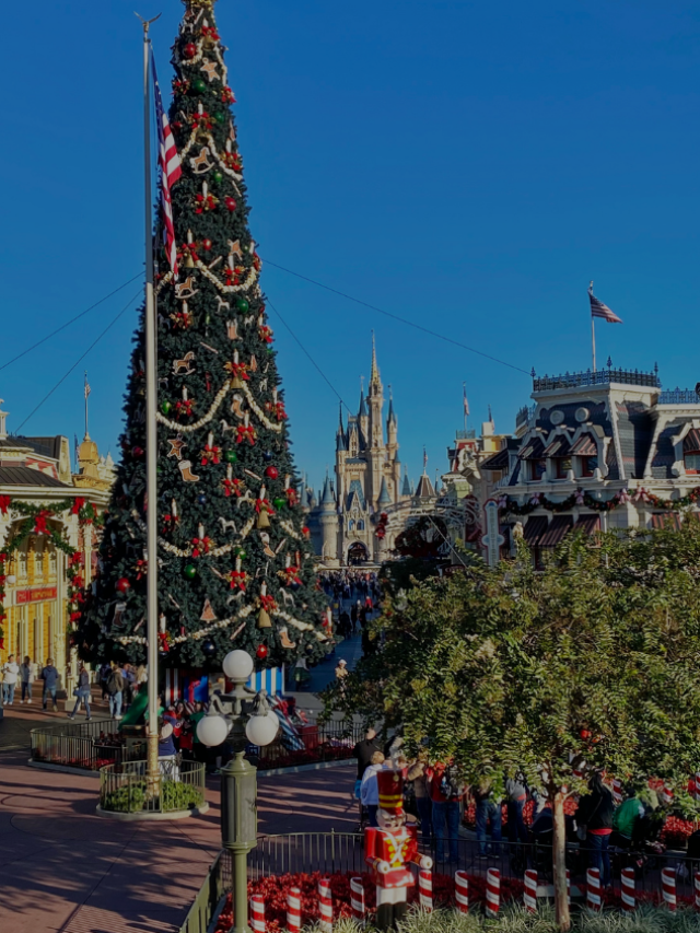 Disney World Christmas Quick Guide