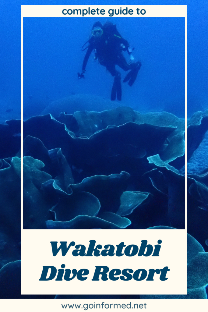 Wakatobi Dive Resort tips